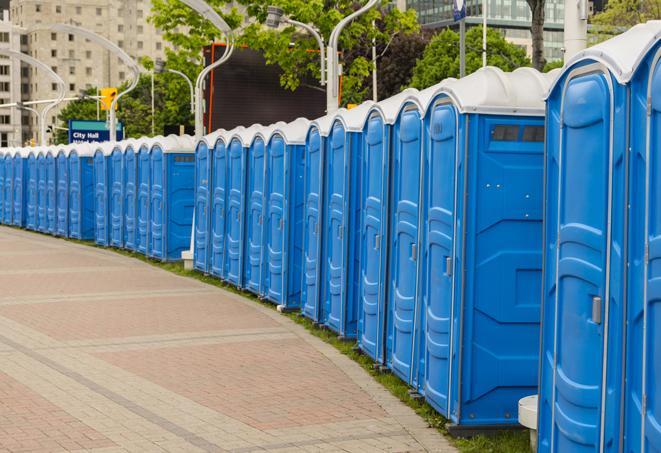 colorful portable restrooms available for rent at a local fair or carnival in Atkinson